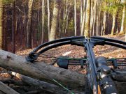 How to get a felon crossbow license how to get a felon crossbow license