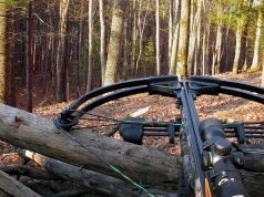 How to get a felon crossbow license how to get a felon crossbow license