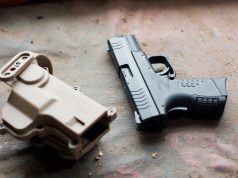 The implications of felon ownership of a pellet gun The implications of felon ownership of a pellet gun